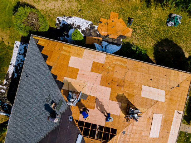 Best New Roof Installation  in Purvis, MS