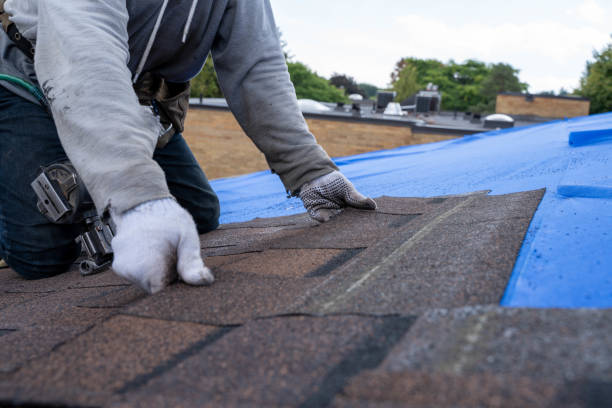 Best Roof Leak Repair  in Purvis, MS