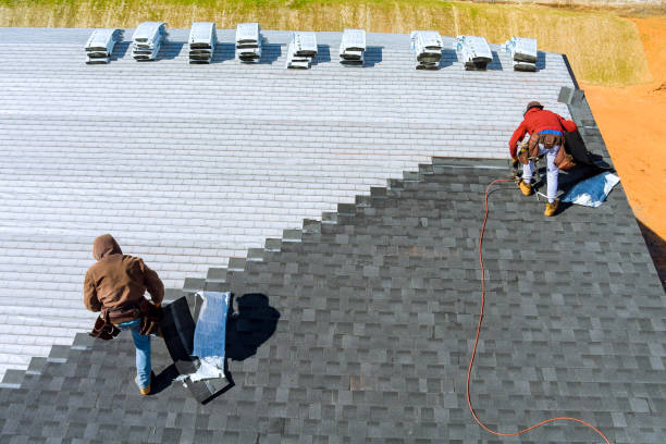 Best Roof Repair Services  in Purvis, MS