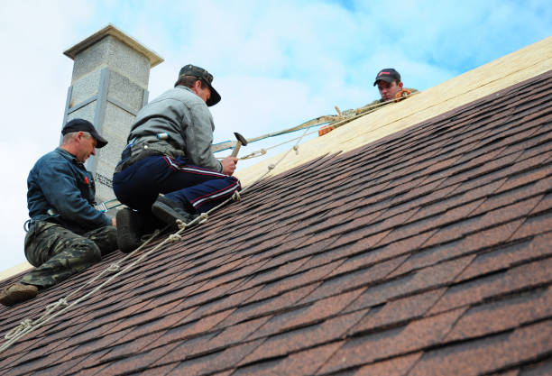 Quick and Trustworthy Emergency Roof Repair Services in Purvis, MS